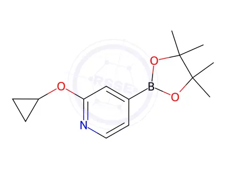 Chemical structure of 2-Cyclopropyloxypyridine 4-pinacolboronate