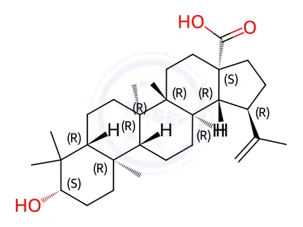 Chemical structure of Betulinic acid