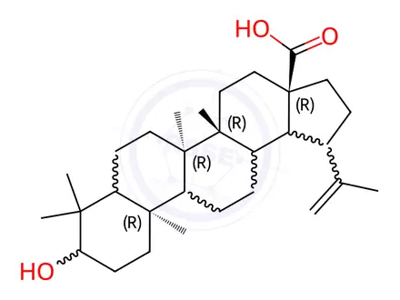Chemical structure of Epibetulinic acid