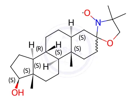 Chemical structure of Androstane Spin Label