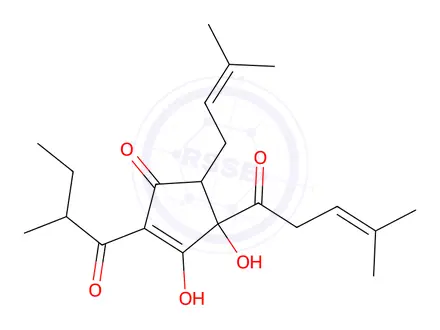 Chemical structure of Isoadhumulone