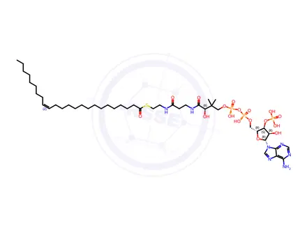 Chemical structure of Coenzyme A Impurity 32