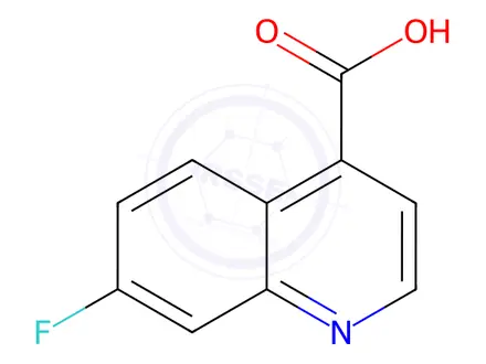 Chemical structure of 7-FLUOROQUINOLINE-4-CARBOXYLIC ACID