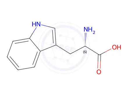 Chemical structure of L-Tryptophan