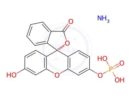Chemical structure of FMP
