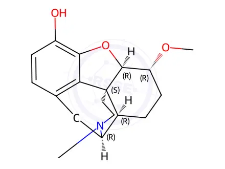 Chemical structure of O6-Methyl-7,8-dihydro-6-isomorphine