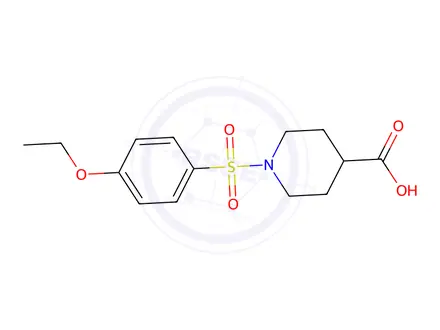 Chemical structure of 1-[(4-Ethoxybenzene)sulfonyl]piperidine-4-carboxylic acid