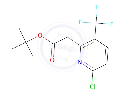 Chemical structure of tert-Butyl 2-(6-chloro-3-(trifluoromethyl)pyridin-2-yl)acetate