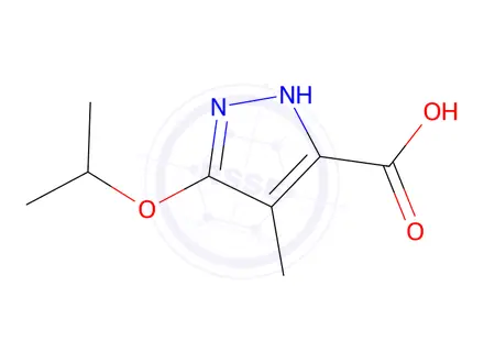 Chemical structure of 3-Isopropoxy-4-methyl-1H-pyrazole-5-carboxylic acid