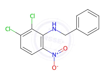 Chemical structure of N-benzyl-2,3-dichloro-6-nitroaniline