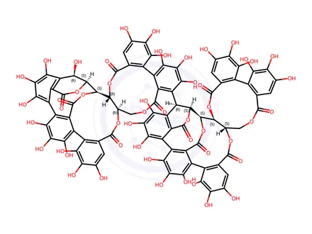Chemical structure of Roburin A