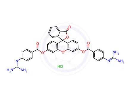 Chemical structure of FLUORESCEIN DI-P-GUANIDINOBENZOATE HYDROCHLORIDE