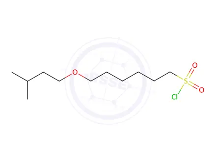 Chemical structure of 6-(Isopentyloxy)hexane-1-sulfonyl chloride