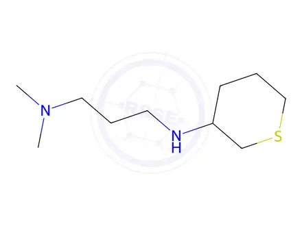 Chemical structure of n1,n1-Dimethyl-n3-(tetrahydro-2h-thiopyran-3-yl)propane-1,3-diamine