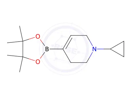 Chemical structure of Pyridine, 1-cyclopropyl-1,2,3,6-tetrahydro-4-(4,4,5,5-tetramethyl-1,3,2-dioxaborolan-2-yl)-