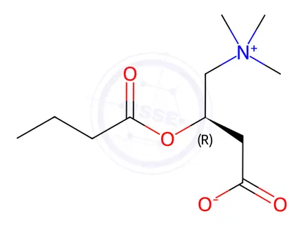Chemical structure of Butyryl-L-carnitine