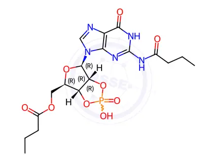 Chemical structure of Dibutyryl Cyclic GMP