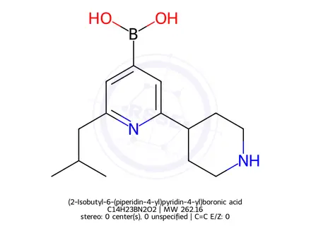 Chemical structure of (2-Isobutyl-6-(piperidin-4-yl)pyridin-4-yl)boronic acid