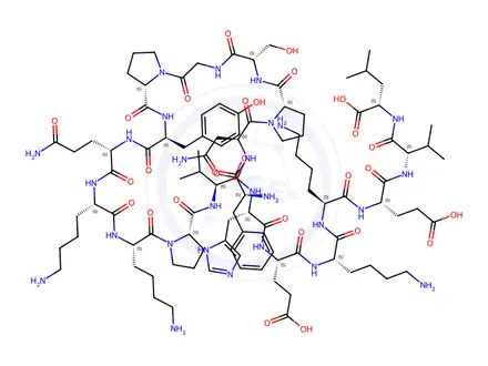 Chemical structure of L-Leucine, L-phenylalanyl-L-asparaginyl-L-prolyl-L-serylglycyl-L-prolyl-L-tyrosyl-L-glutaminyl-L-lysyl-L-lysyl-L-prolyl-L-valyl-L-histidyl-L-α-glutamyl-L-lysyl-L-lysyl-L-α-glutamyl