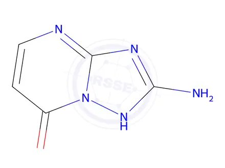 Chemical structure of 2-amino-4H,7H-[1,2,4]triazolo[1,5-a]pyrimidin-7-one