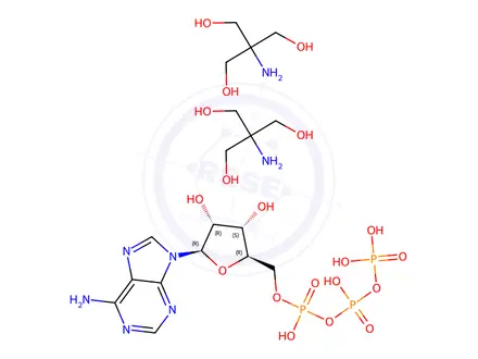 Chemical structure of Adenosine 5′-triphosphate di(trihydroxymethylaminomethane) salt hydrate
