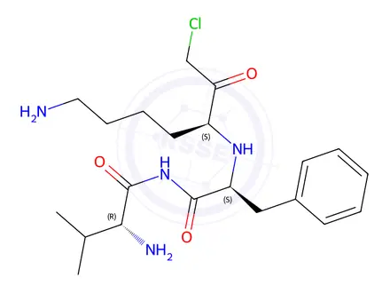 Chemical structure of (R)-2-Amino-N-((S)-1-(((S)-7-amino-1-chloro-2-oxoheptan-3-yl)amino)-1-oxo-3-phenylpropan-2-yl)-3-methylbutanamide