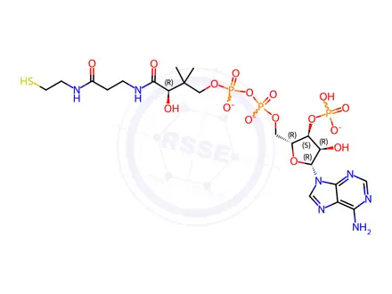 Chemical structure of Coenzyme A (Li salt)
