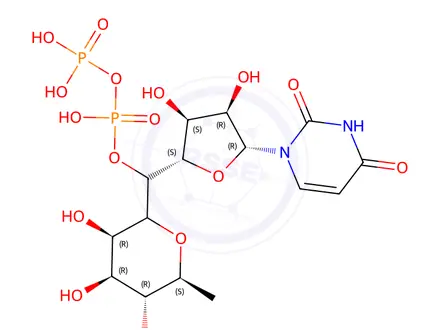 Chemical structure of 5′-(trihydrogen diphosphate)Uridine P′-(6-deoxy-α-L-mannopyranosyl) ester