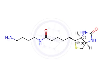 Chemical structure of Biotin-C4-amide-C5-NH2