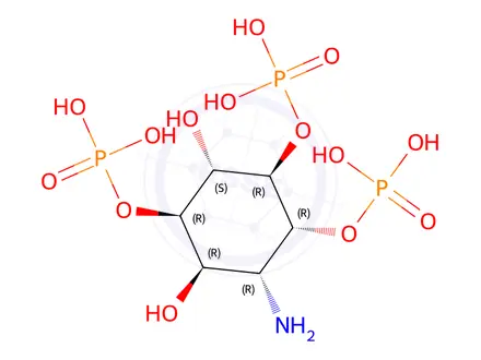 Chemical structure of 3-amino-3-deoxy-myo-inositol 1,4,5-trisphosphate