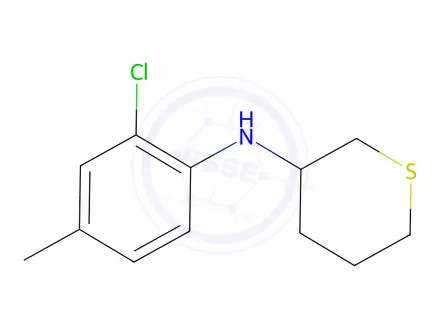 Chemical structure of n-(2-Chloro-4-methylphenyl)tetrahydro-2h-thiopyran-3-amine