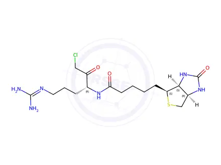 Chemical structure of biotinylarginylchloromethane