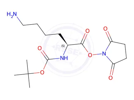 Chemical structure of Boc-Lys-OSu