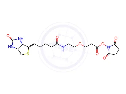 Chemical structure of Biotin-PEG1-NHS ester