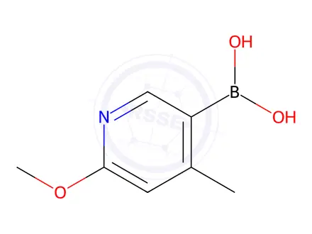 Chemical structure of 6-Methoxy-4-methylpyridin-3-ylboronic Acid