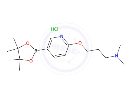 Chemical structure of Dimethyl(3-{[5-(tetramethyl-1,3,2-dioxaborolan-2-yl)pyridin-2-yl]oxy}propyl)amine hydrochloride