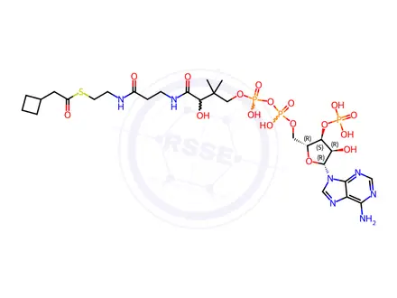 Chemical structure of Coenzyme A Impurity 25