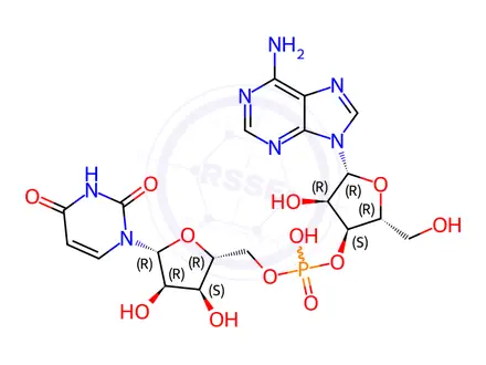 Chemical structure of URIDYLYL-(5'->2')-ADENOSINE