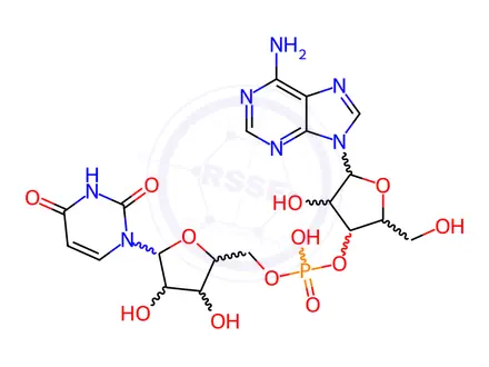 Chemical structure of uridylyl(5'->3')adenosine