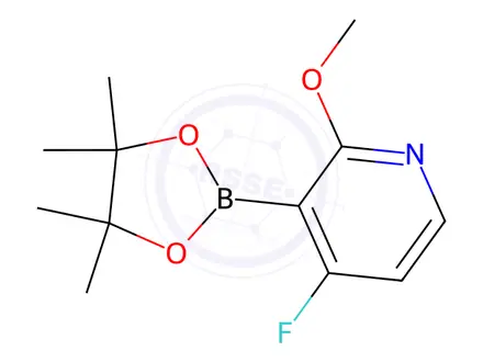 Chemical structure of 4-Fluoro-2-methoxy-3-(4,4,5,5-tetramethyl-1,3,2-dioxaborolan-2-yl)pyridine