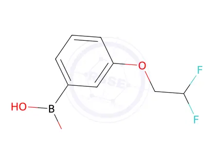 Chemical structure of (3-(2,2-Difluoroethoxy)phenyl)boronic acid