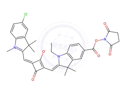 Chemical structure of SQ-NHS*