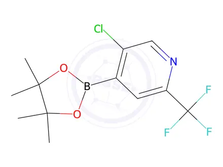 Chemical structure of 5-Chloro-4-(4,4,5,5-tetramethyl-1,3,2-dioxaborolan-2-yl)-2-(trifluoromethyl)pyridine