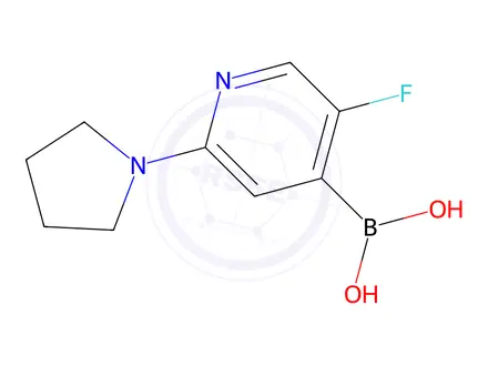 Chemical structure of 5-Fluoro-2-(pyrrolidin-1-yl)pyridine-4-boronic acid