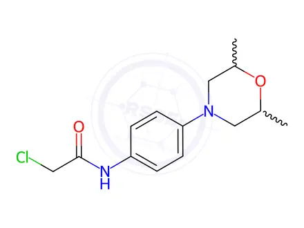 Chemical structure of 2-chloro-N-[4-(2,6-dimethylmorpholino)phenyl]acetamide