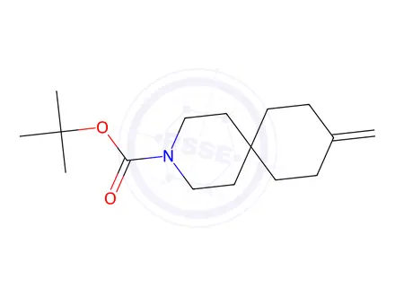 Chemical structure of Tert-butyl 9-methylene-3-azaspiro[5.5]Undecane-3-carboxylate