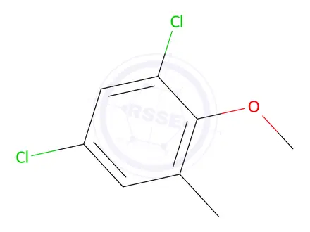 Chemical structure of 1,5-Dichloro-2-methoxy-3-methylbenzene