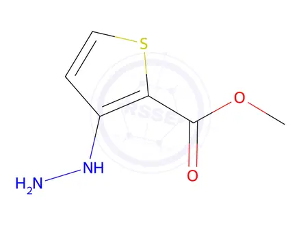 Chemical structure of Methyl 3-hydrazinylthiophene-2-carboxylate