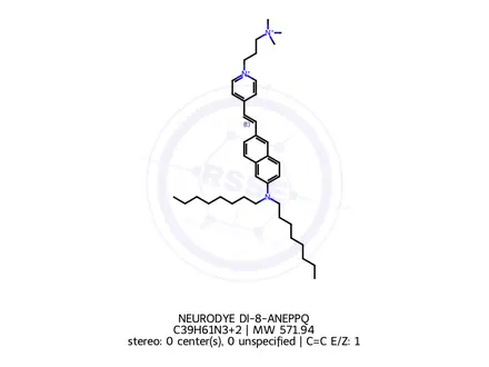 Chemical structure of NEURODYE DI-8-ANEPPQ
