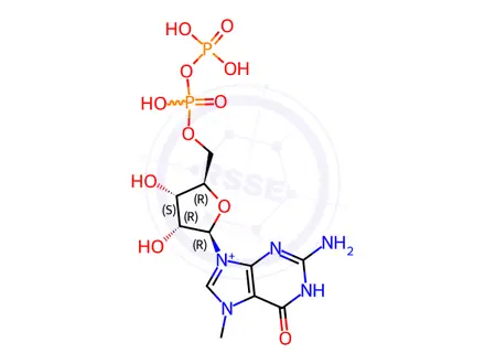 Chemical structure of 7-methylguanosine 5'-diphosphate(1+)